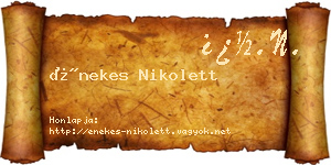 Énekes Nikolett névjegykártya